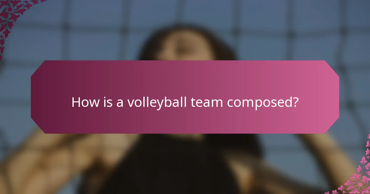 How is a volleyball team composed?